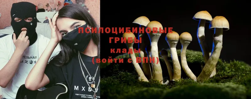 OMG tor  Балабаново  Галлюциногенные грибы Cubensis 